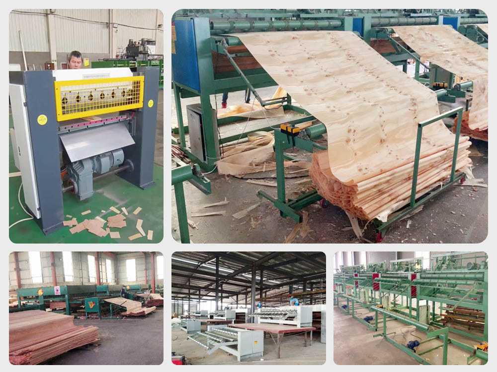 peeling machine clipper face veneer clipper working video