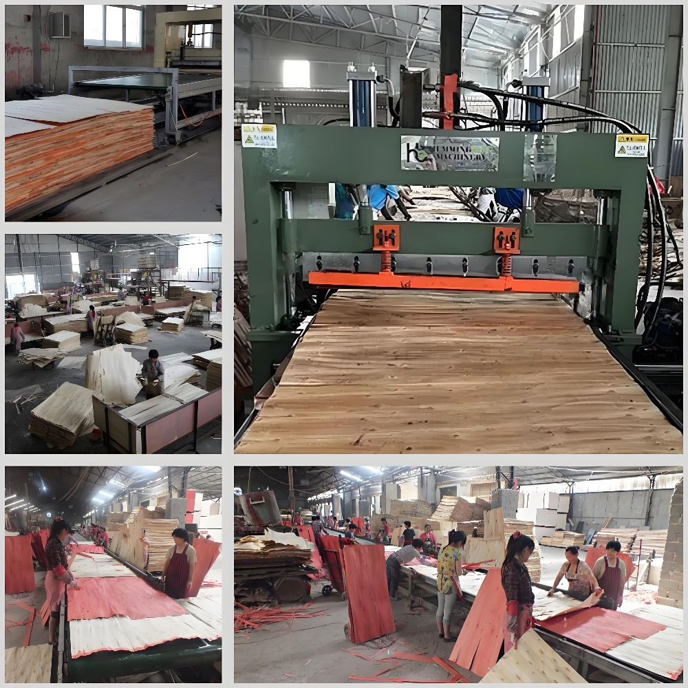 PLYWOOD PAVING LINE 17 PLYWOOD PAVING LINE 17