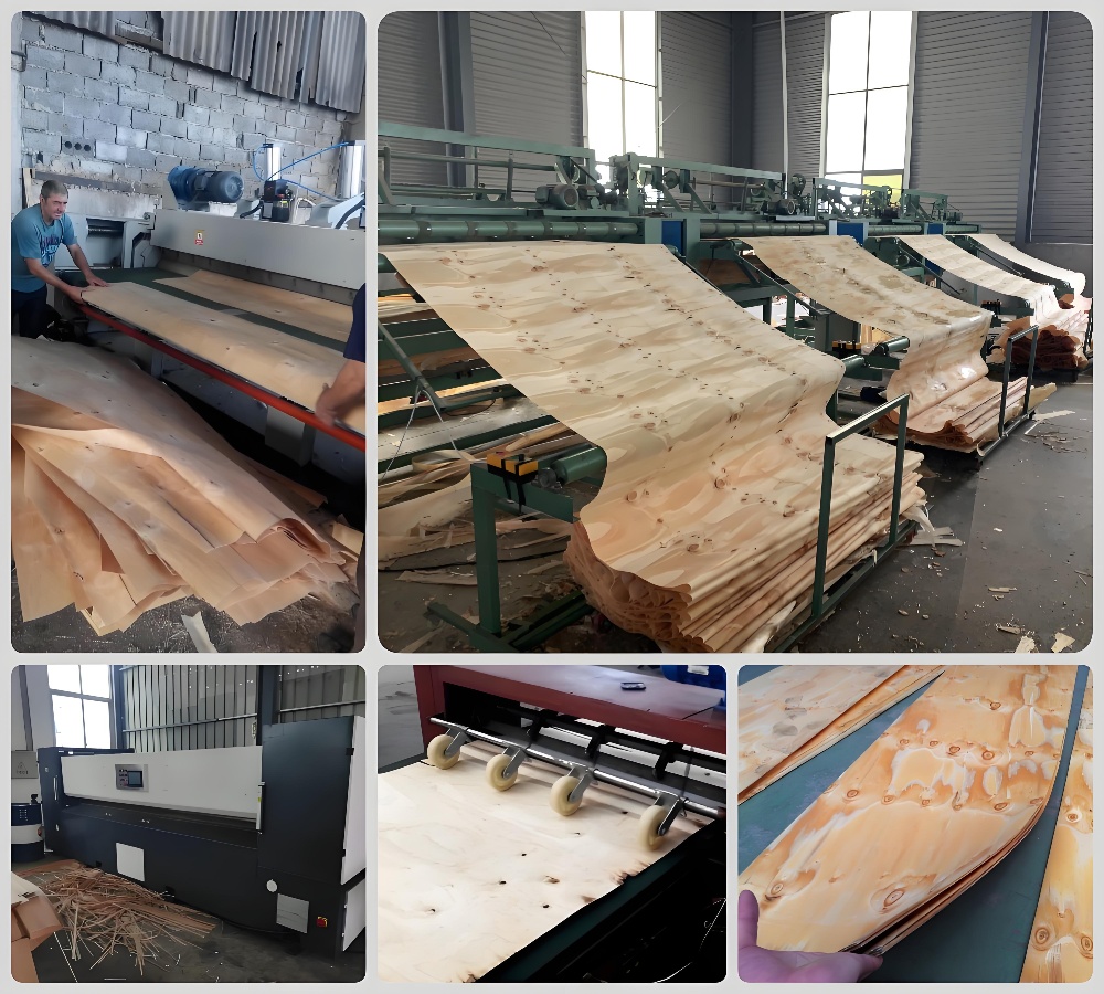 veneer clipper 5 veneer clipper 5