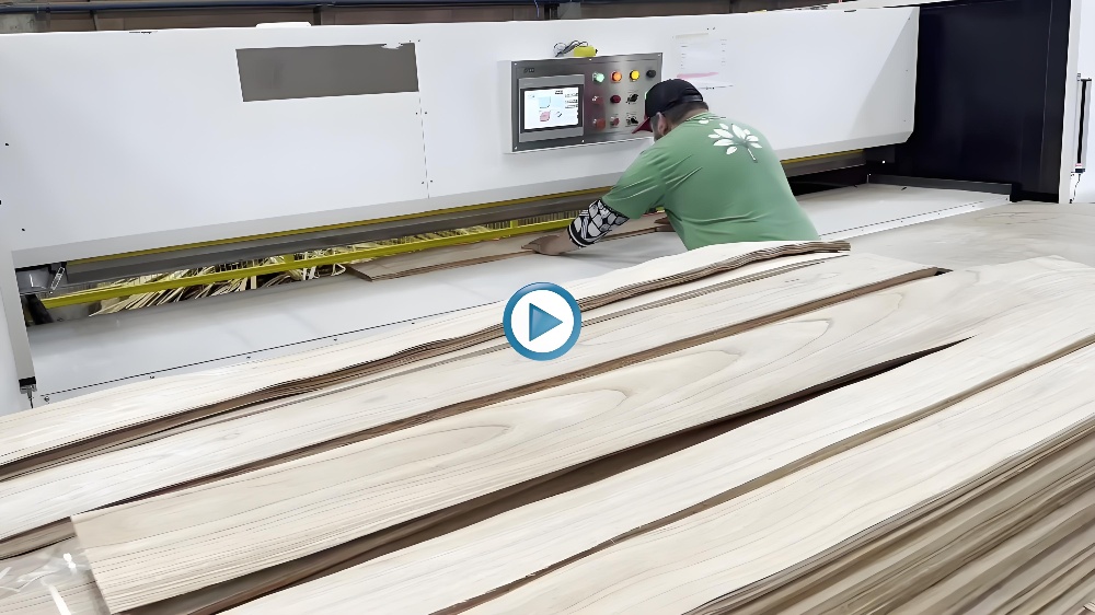 veneer clipper 2 veneer clipper 2