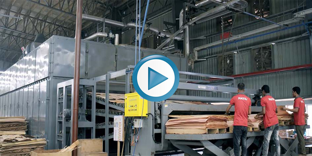 veneer dryer working video