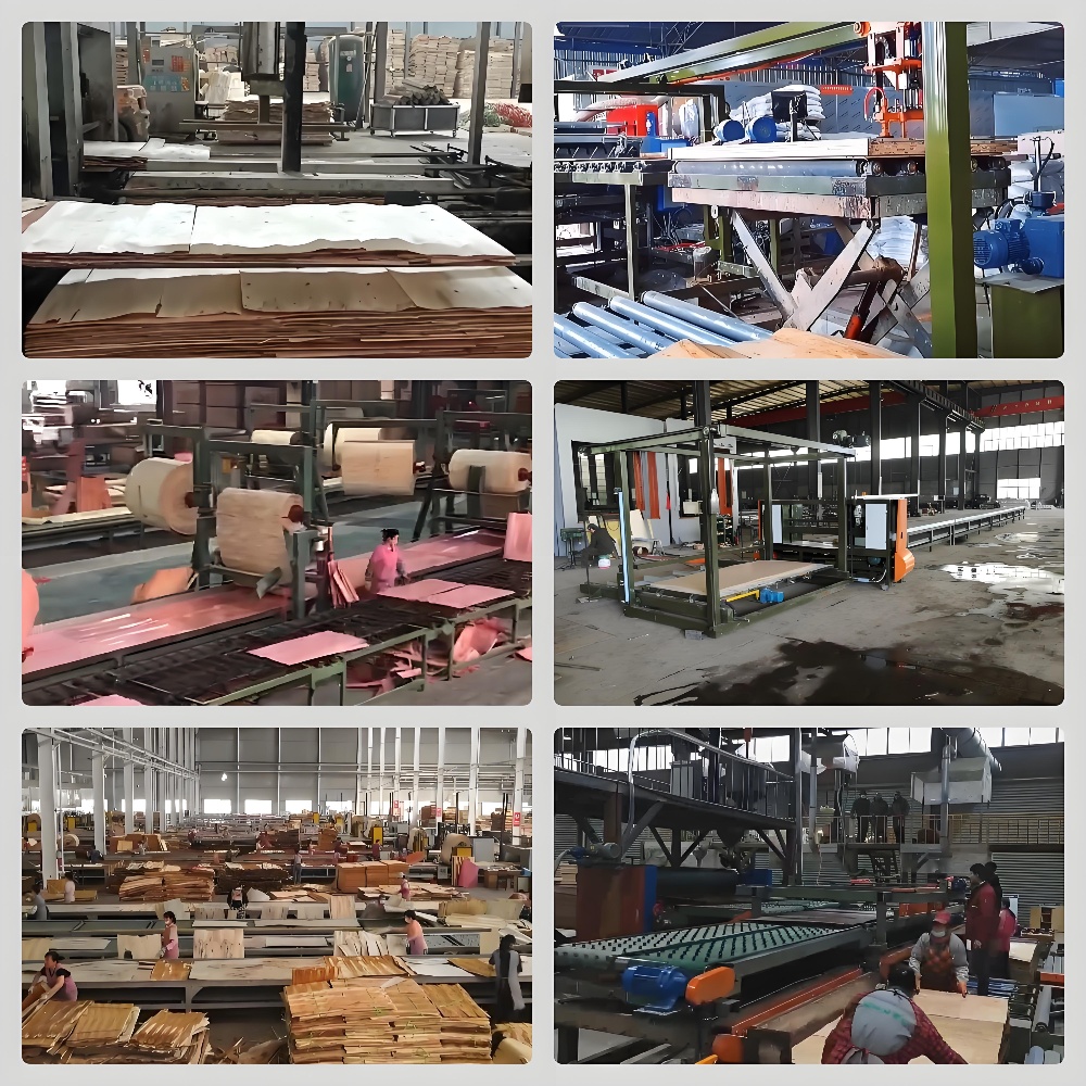 PLYWOOD PAVING LINE 45