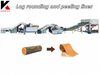 Advanced Automated Plywood Processing Line for Efficient Lumber Production