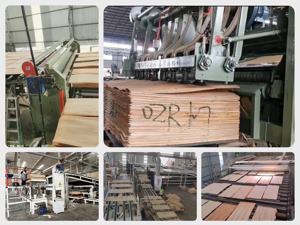 veneer drying machine working picture