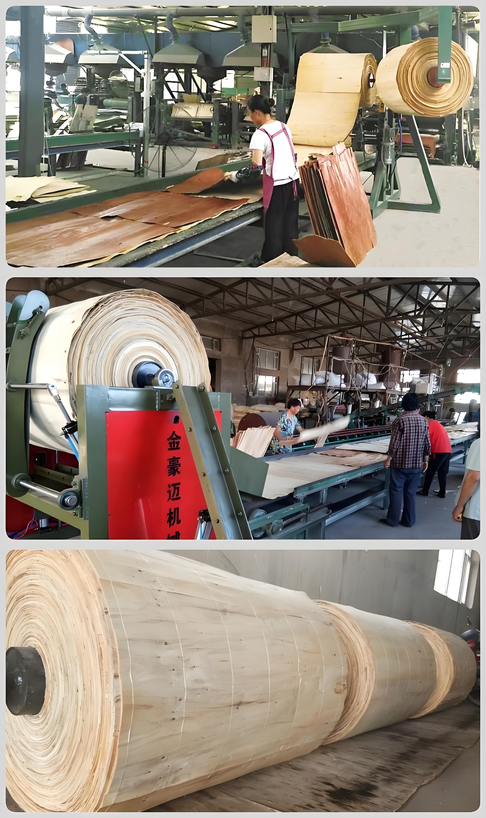 plywood paving line 25