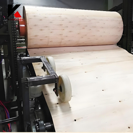 Plywood Paving Line With Veneer Rolling Machine