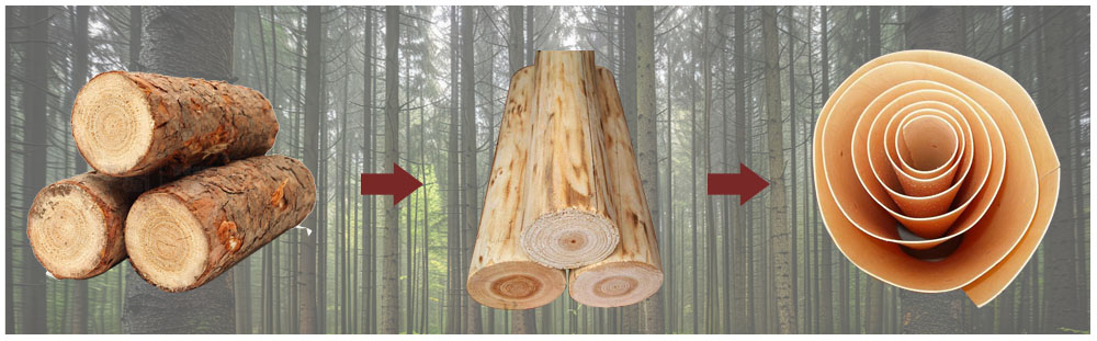 wood veneer produce