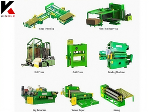 Plywood Fabrication Line Automated Wood Panel Manufacturing Systems