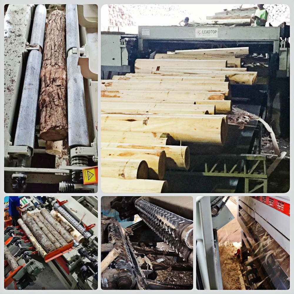 LOG DEBARKER 8