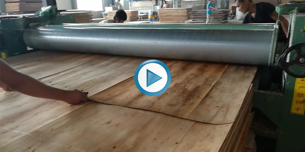 glue spreader working video
