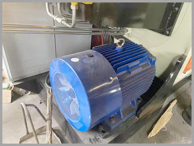 Main motor details model