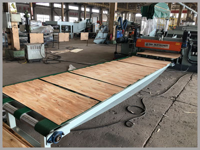 details model-veneer conveyor 2