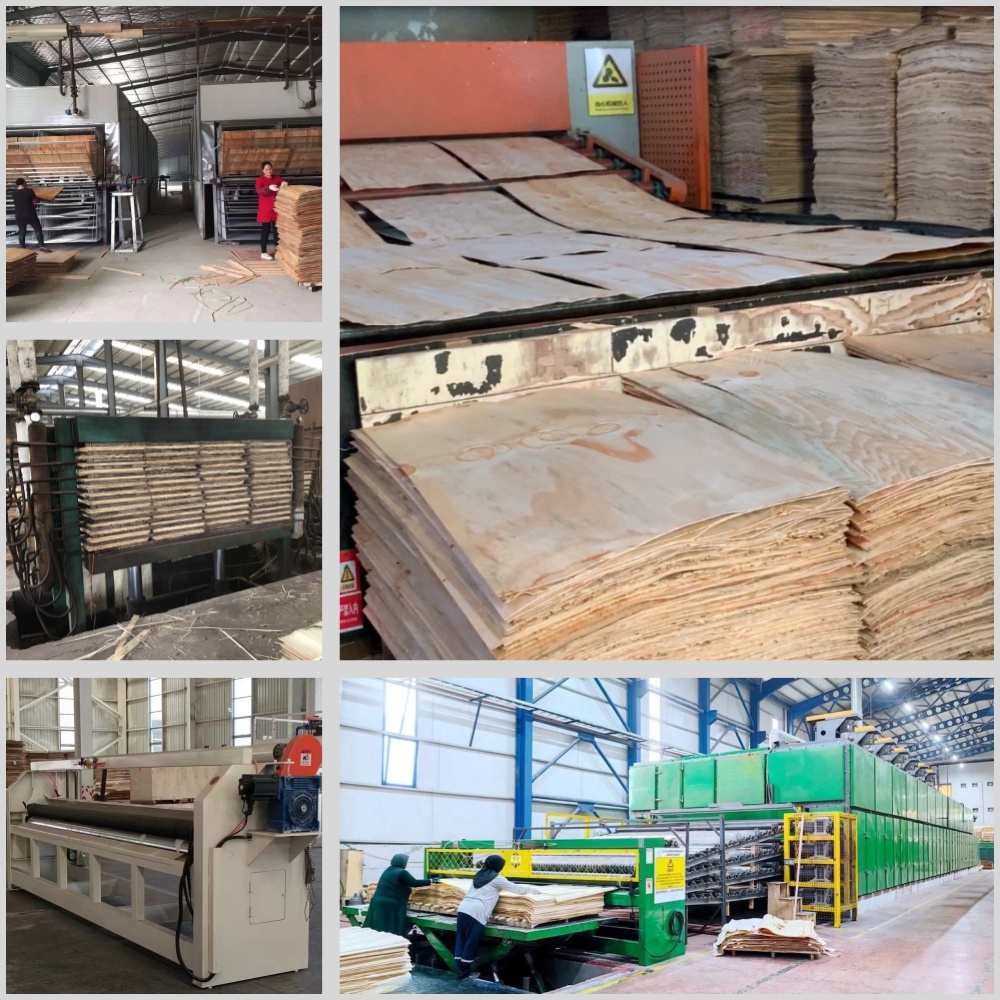 veneer dryer 59
