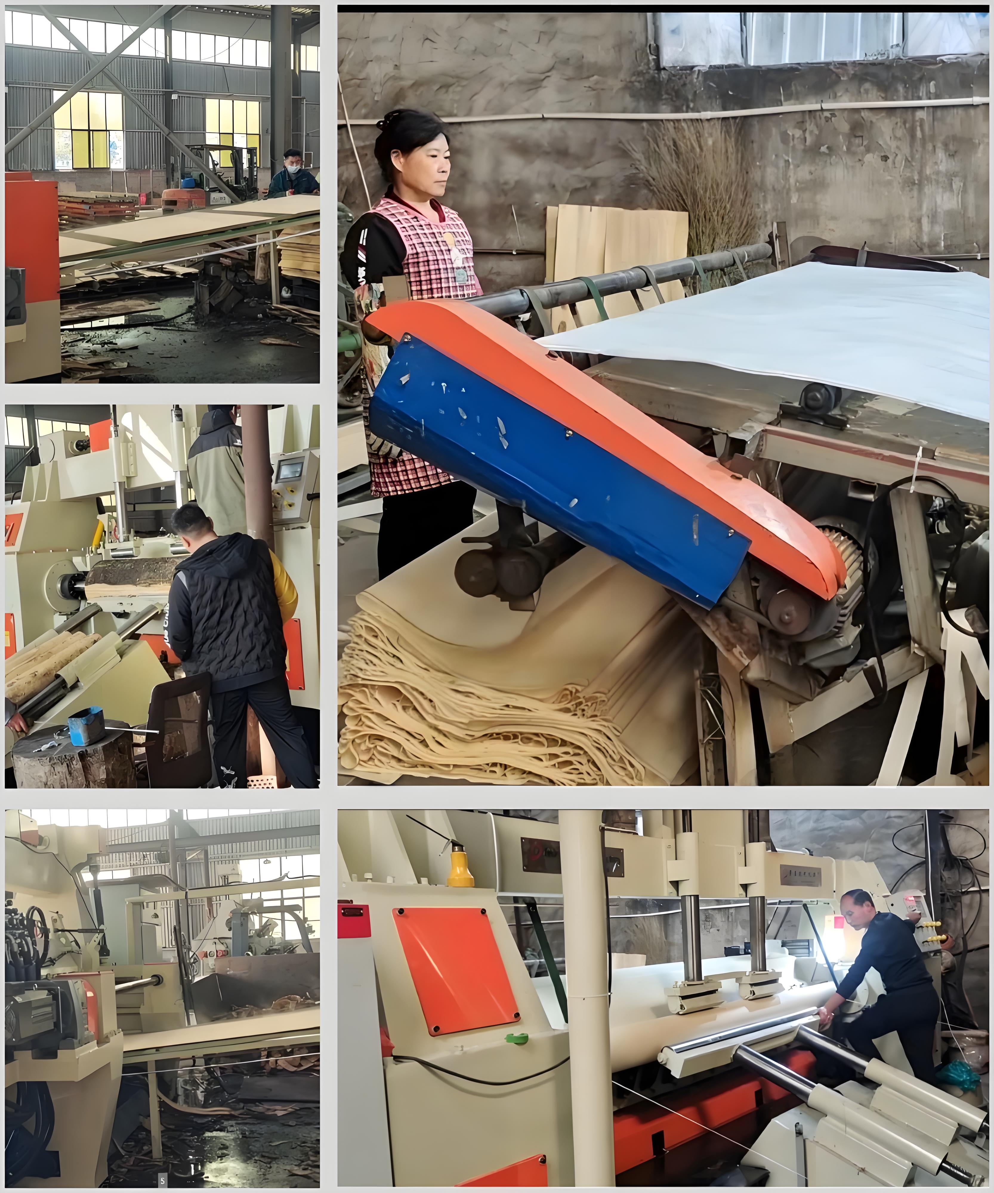 veneer peeling machine 11