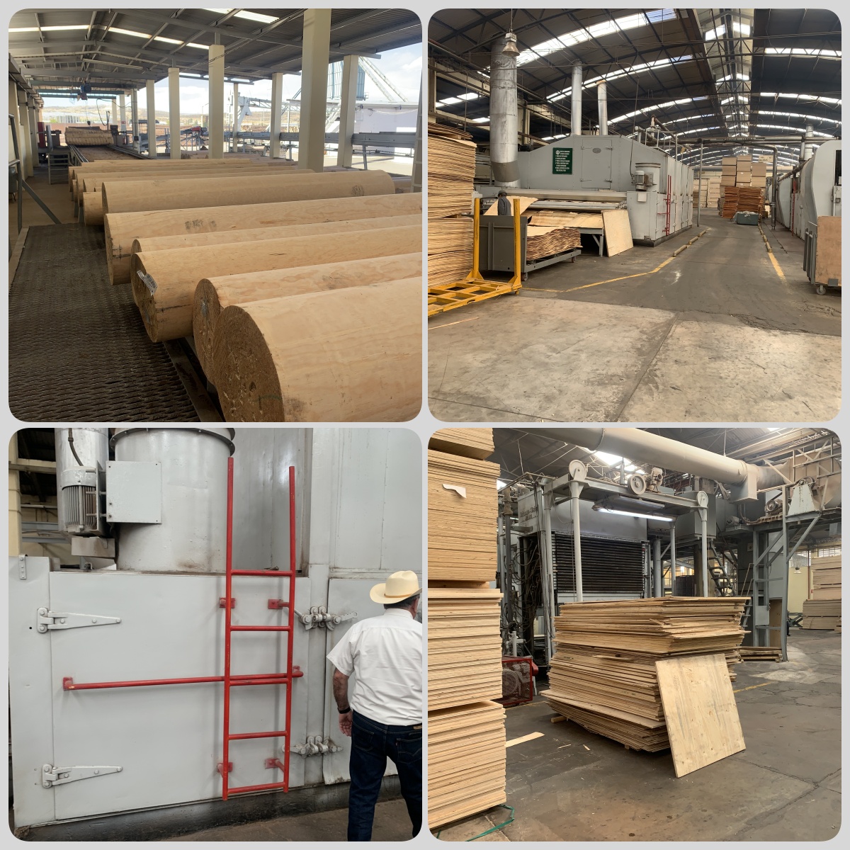 Mexico 8-foot plywood production line