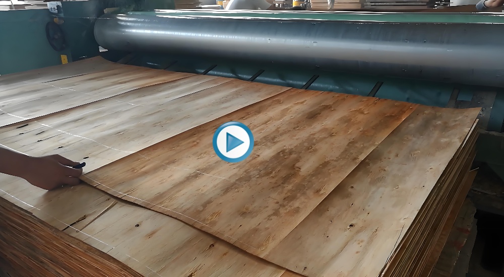 glue spreader video