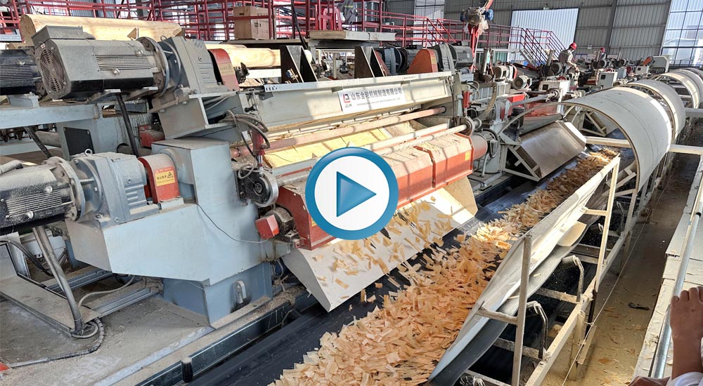 OSB wood shaving peeling machine working videoo