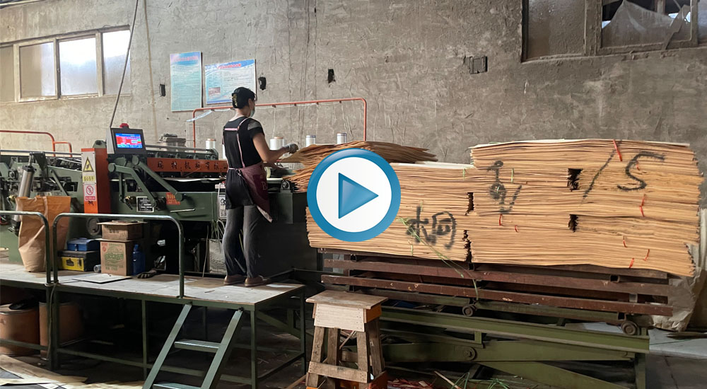 veneer teeth jointer video