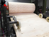Plywood Paving Line With Veneer Rolling Machine