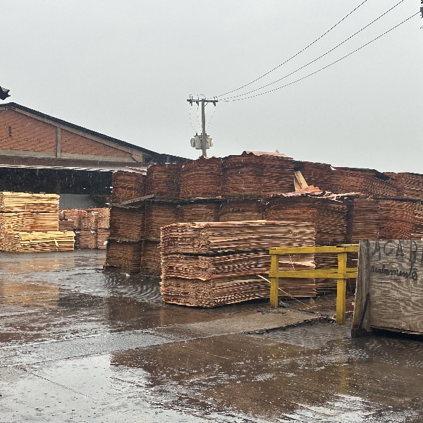 Our Expertise in Brazil's Plywood Industry