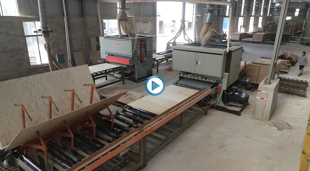 plywood sanding line 16
