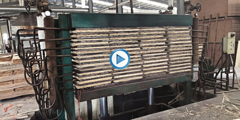 veneer dryer 19