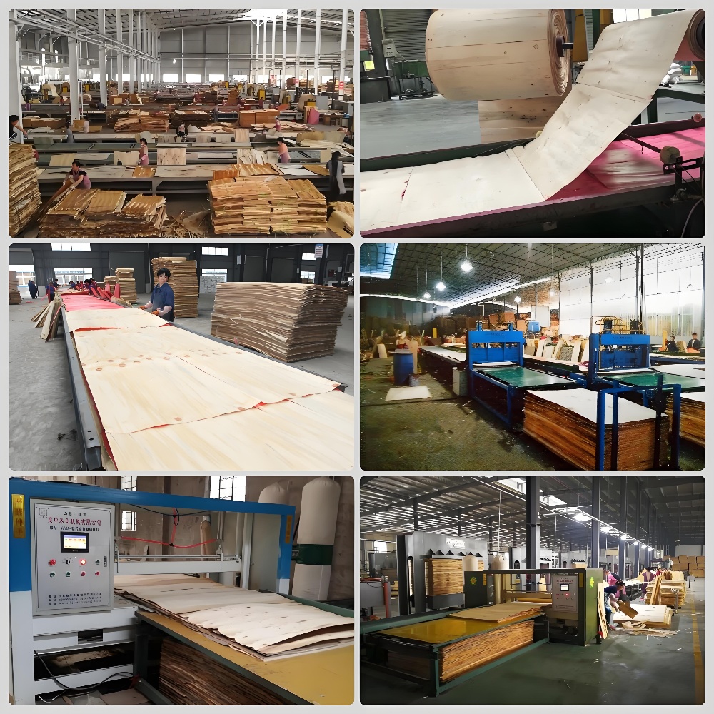 plywood paving line 56