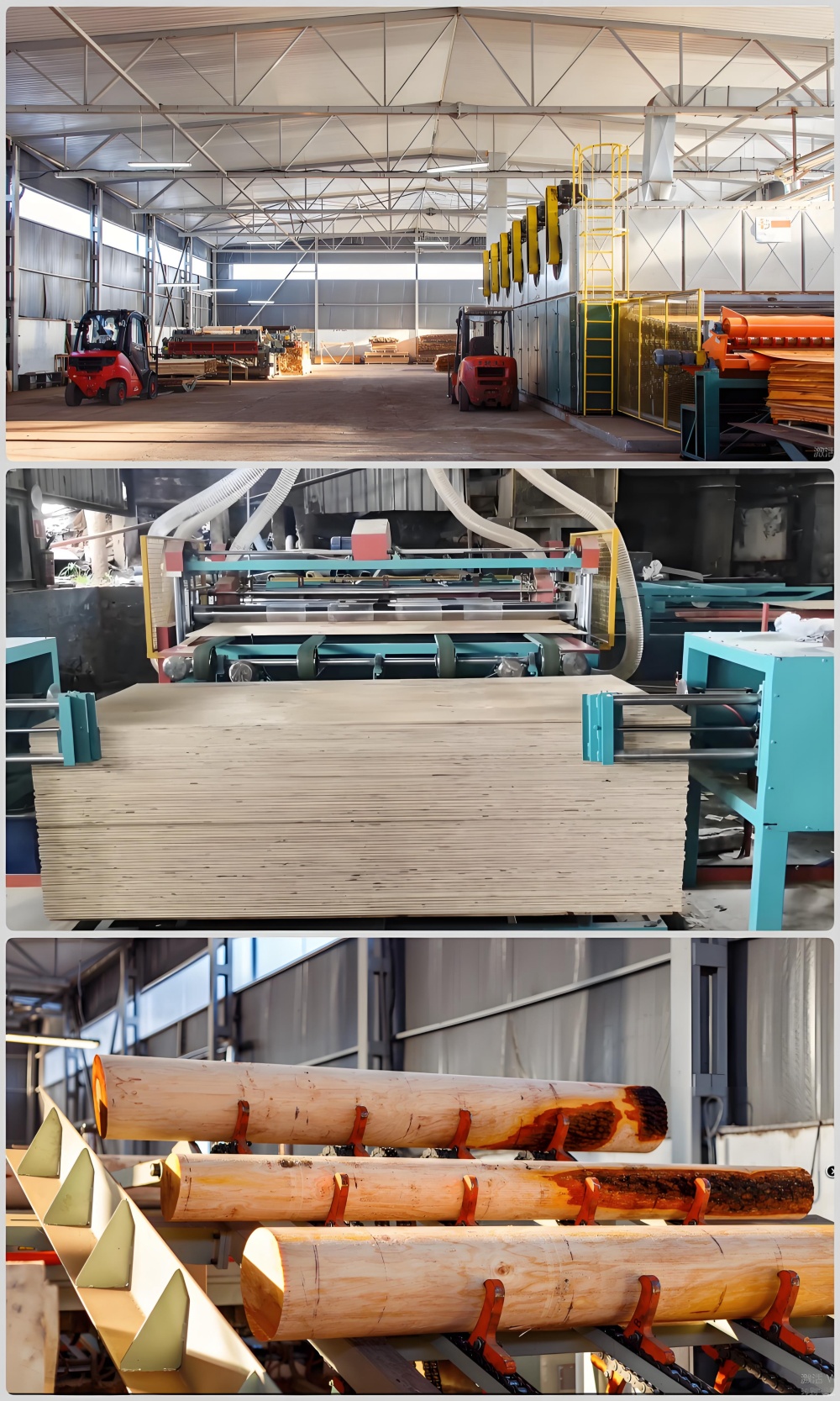 plywood production factory