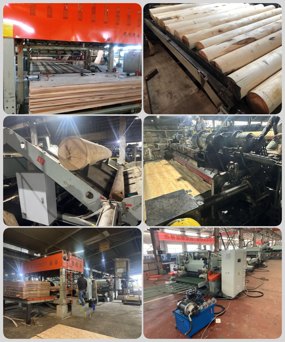 veneer peeling line 12