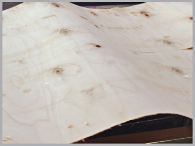 veneer peeling machine 10