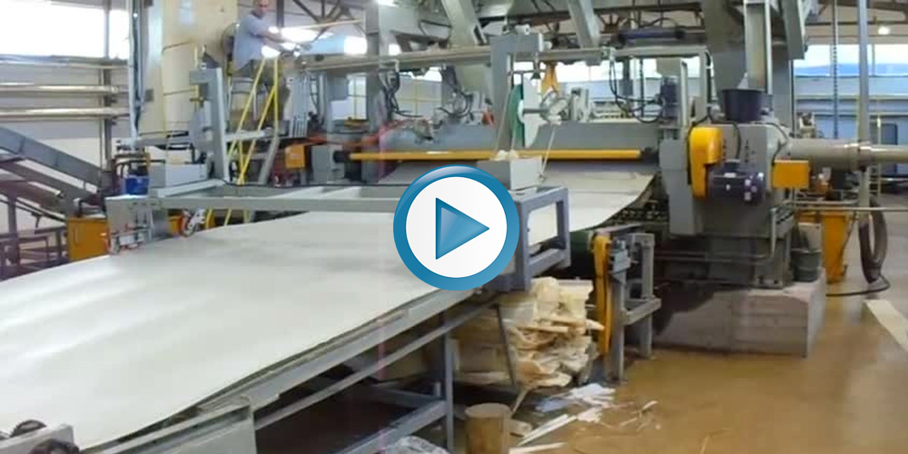 spindle peeling machine working video