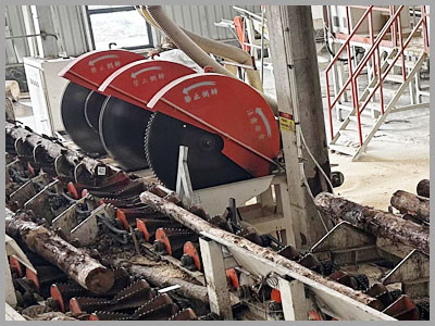 log cutting saw details 3