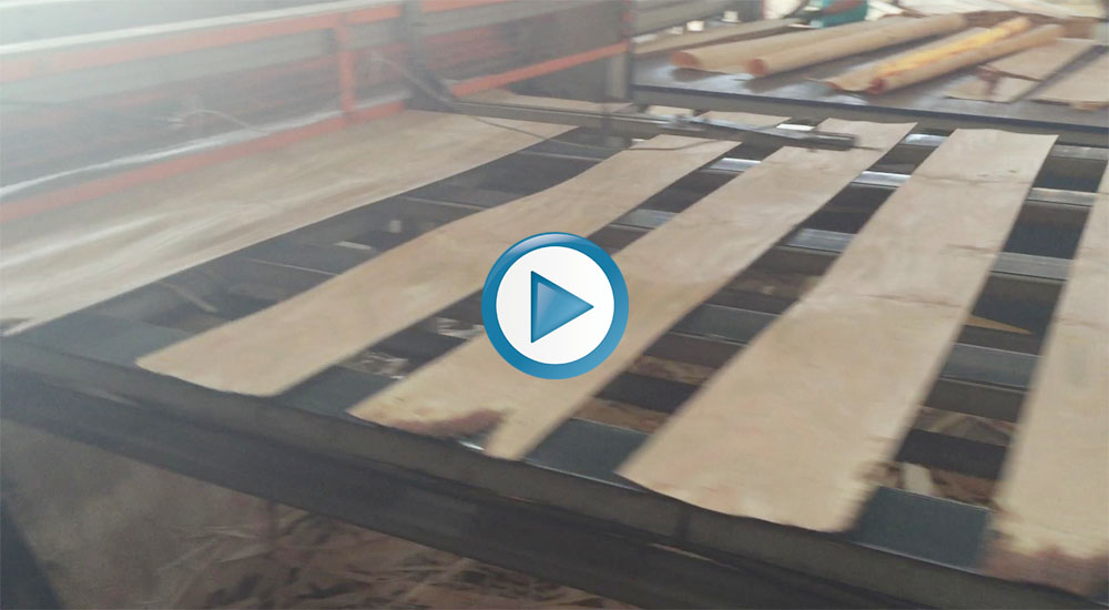 veneer clipper video link 