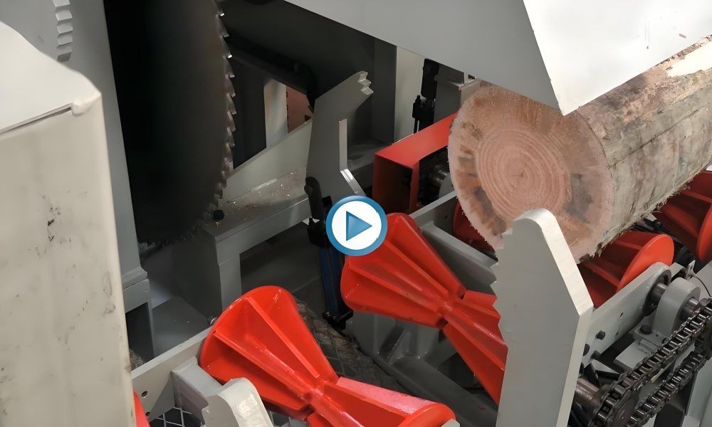 log cutting saw 6