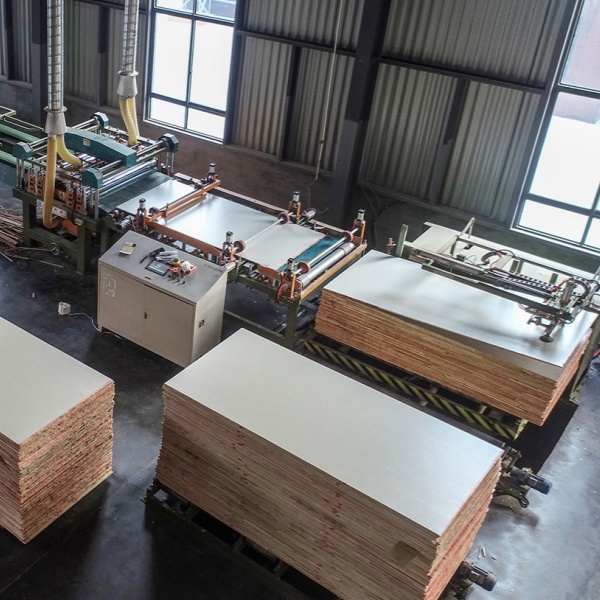 Full Automatic Plywood Trimming Saw with Roller Convey