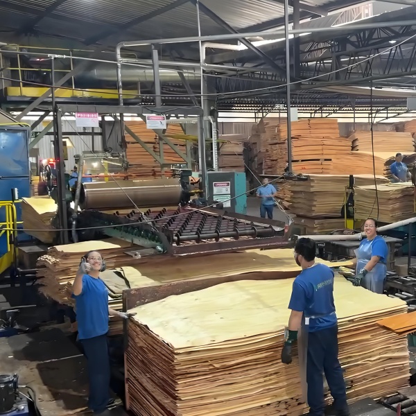 Double Siedes Glue Spreader Machine In Brazil